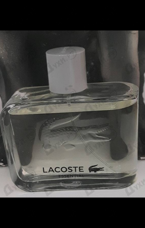 Купить Essential от Lacoste