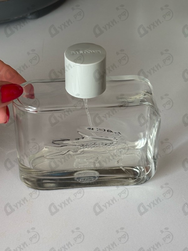 Купить Lacoste Essential