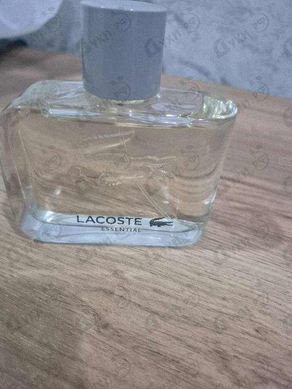 Отзыв Lacoste Essential