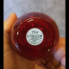 Отзыв Lacoste Style In Play