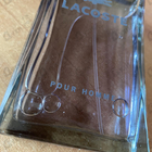 Отзыв Lacoste Pour Homme