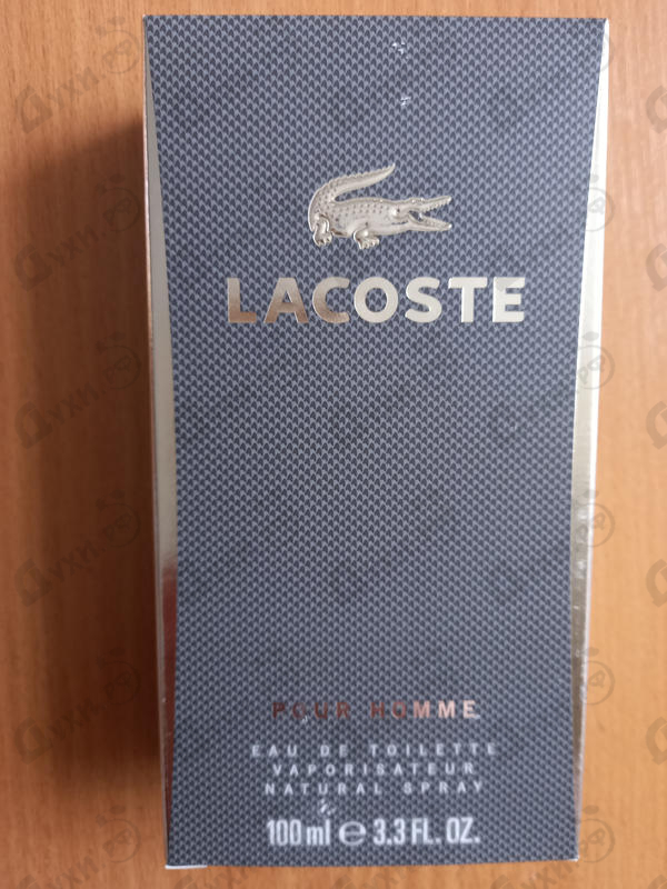 Парфюмерия Pour Homme от Lacoste