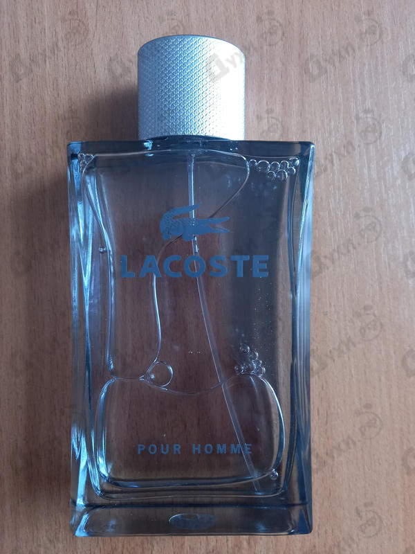 Купить Pour Homme от Lacoste Отзывы Lacoste Pour Homme