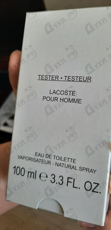 Отзыв Lacoste Pour Homme Купить Pour Homme от Lacoste