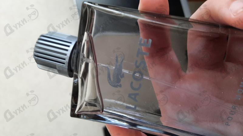 Парфюмерия Lacoste Pour Homme Парфюмерия Pour Homme от Lacoste