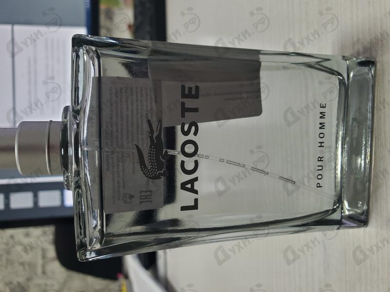 Парфюм Lacoste Pour Homme Духи Pour Homme от Lacoste