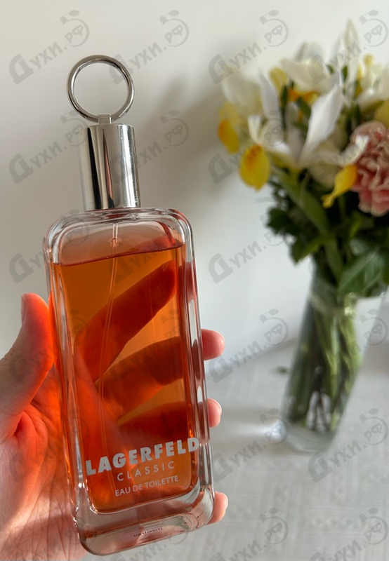 Купить Lagerfeld Classic