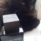 Отзыв Lalique Encre Noire