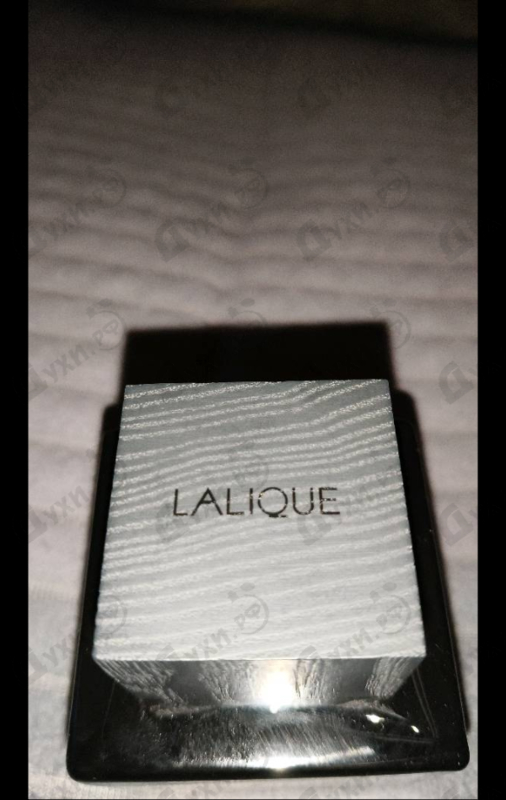 Купить Encre Noire от Lalique