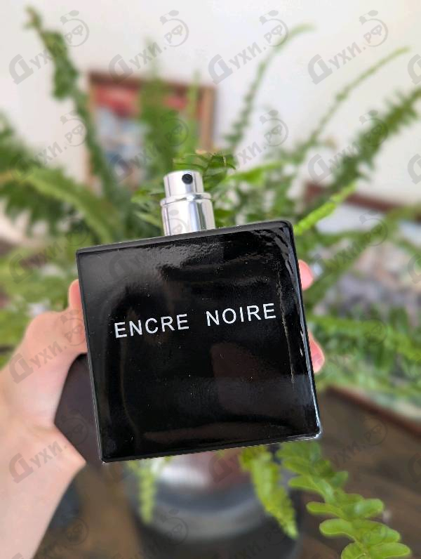 Отзыв Lalique Encre Noire