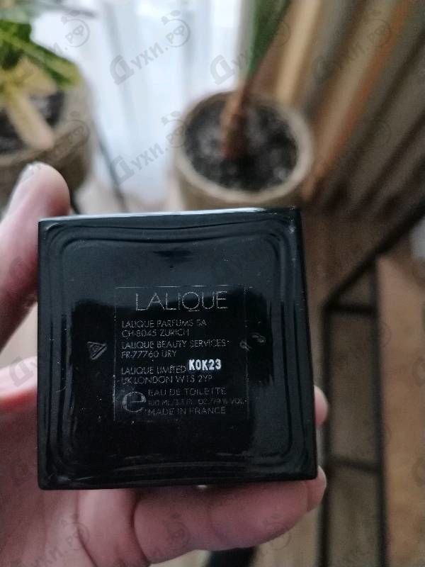 Духи Encre Noire от Lalique