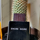 Отзыв Lalique Encre Noire