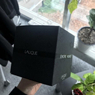 Отзыв Lalique Encre Noire