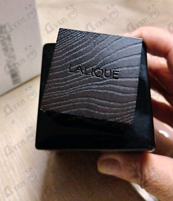 Купить Lalique Encre Noire