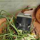 Парфюм Lalique Encre Noire