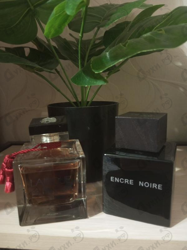 Парфюмерия Encre Noire от Lalique