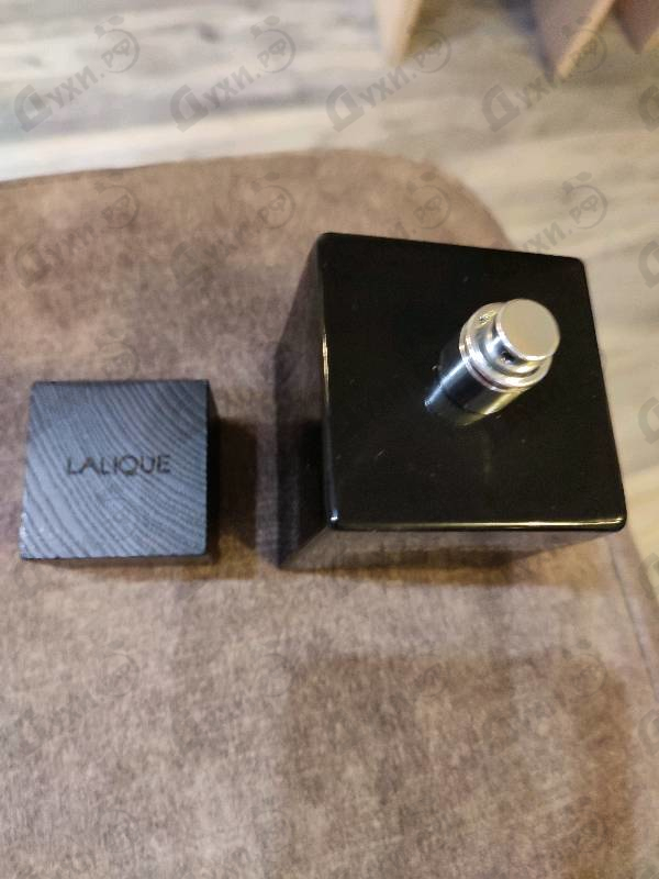 Купить Encre Noire от Lalique