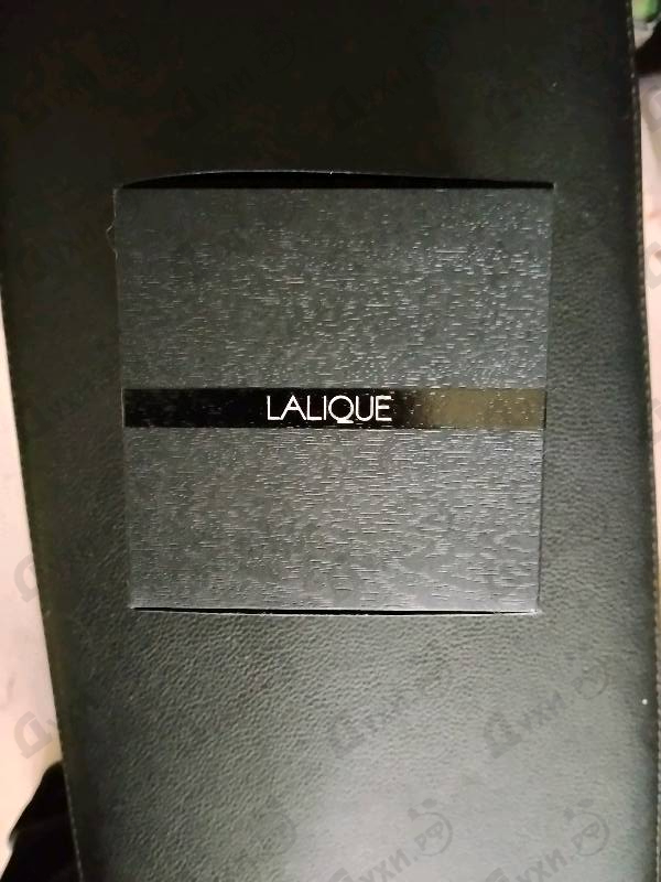 Отзыв Lalique Encre Noire