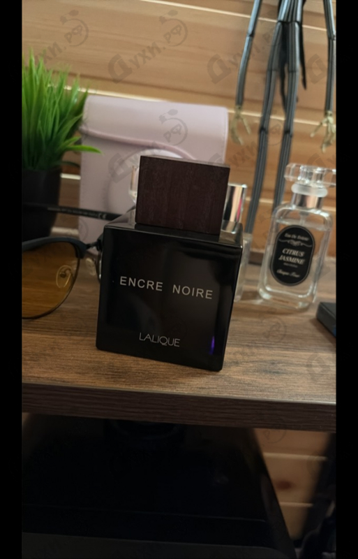 Купить Encre Noire от Lalique