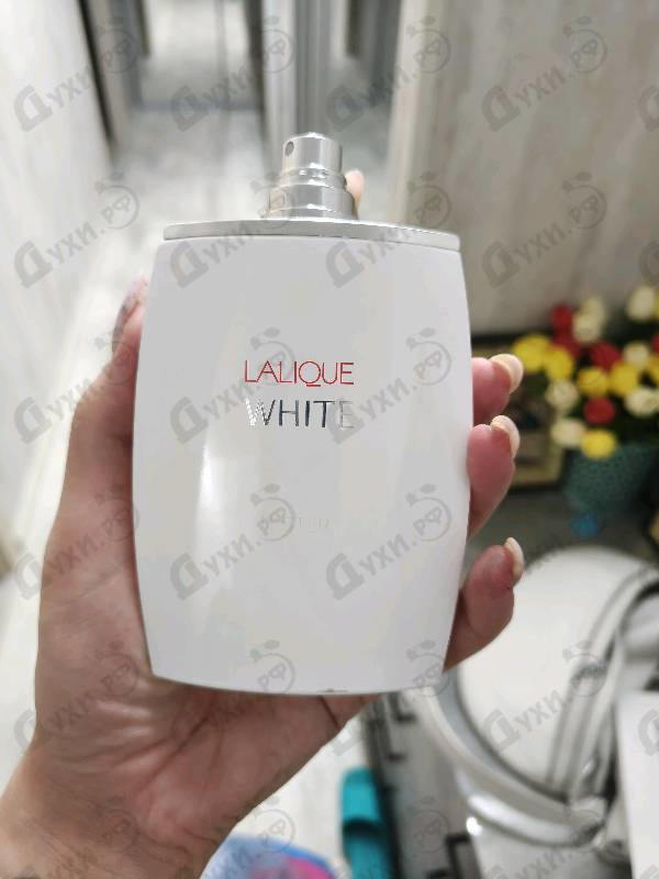 Отзывы Lalique White