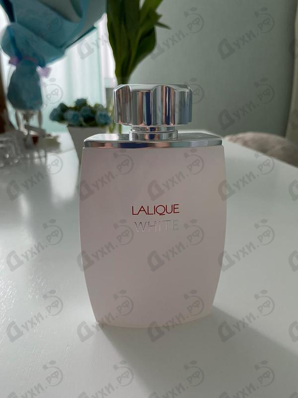 Купить White от Lalique