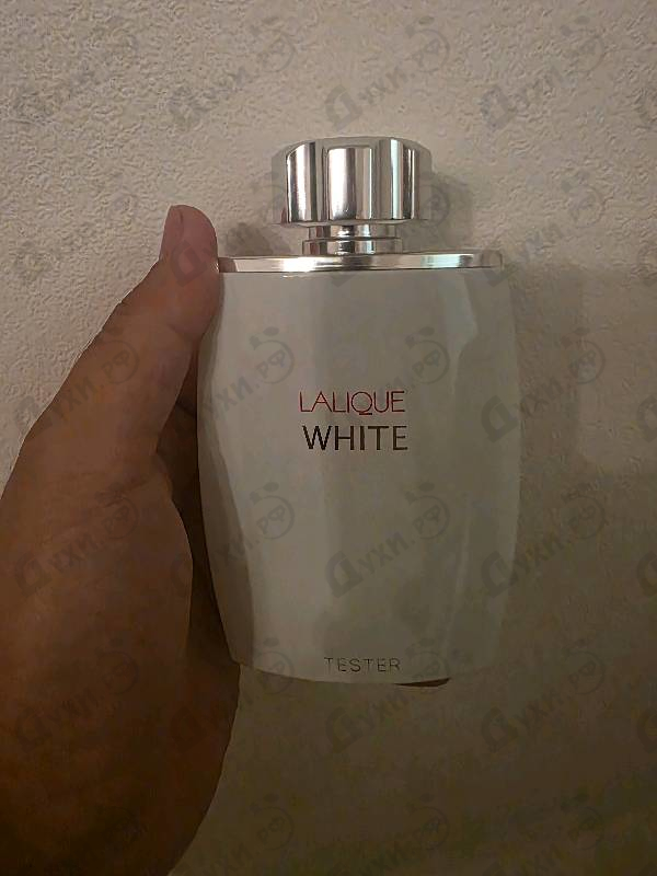 Купить Lalique White