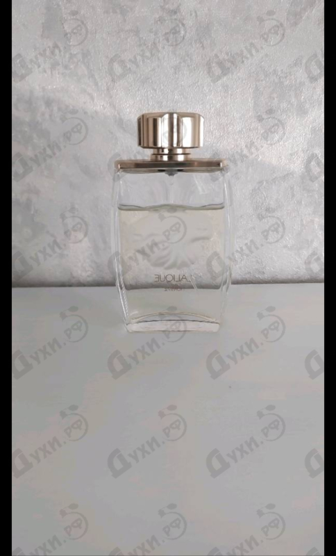 Купить Lion от Lalique