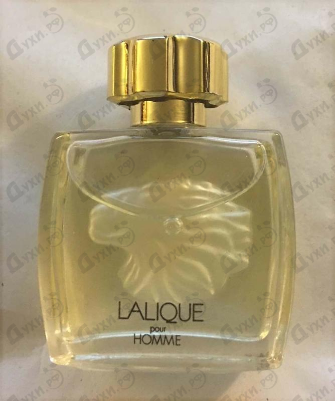 Купить Lion от Lalique