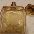 Отзыв Lalique Lion