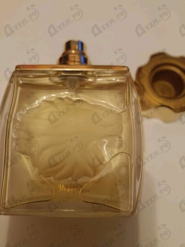 Отзывы Lalique Lion