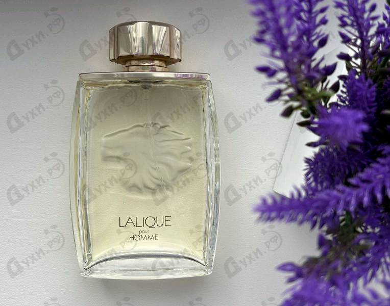 Отзывы Lalique Lion