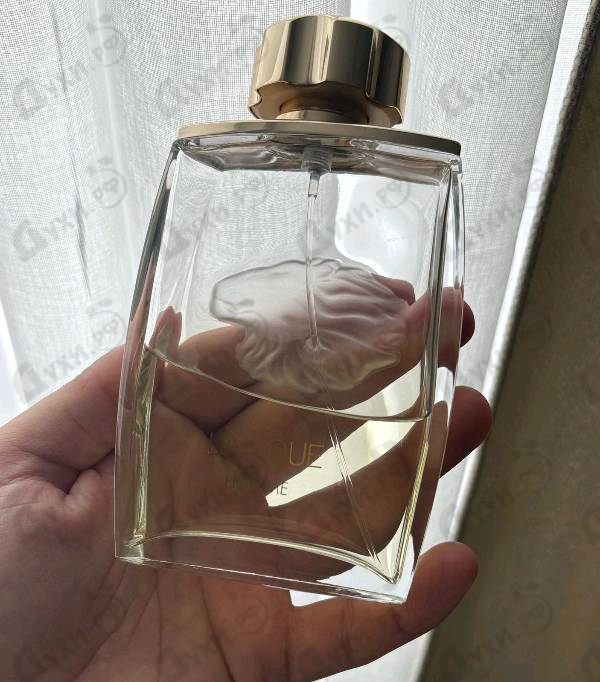 Отзывы Lalique Lion