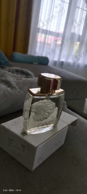 Отзыв Lalique Lion