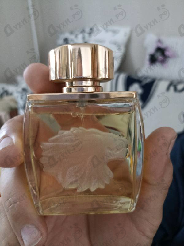 Купить Lion от Lalique