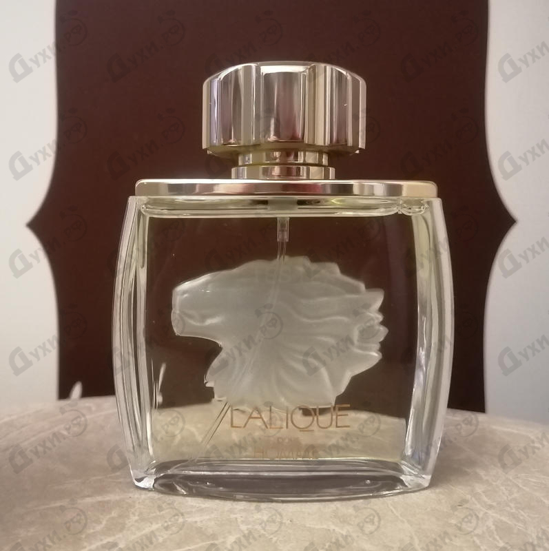 Купить Lion от Lalique