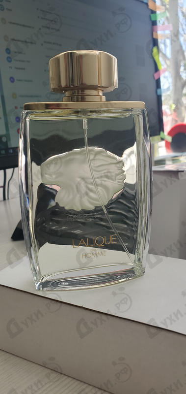 Парфюмерия Lalique Lion