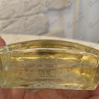 Отзывы Lalique Lion