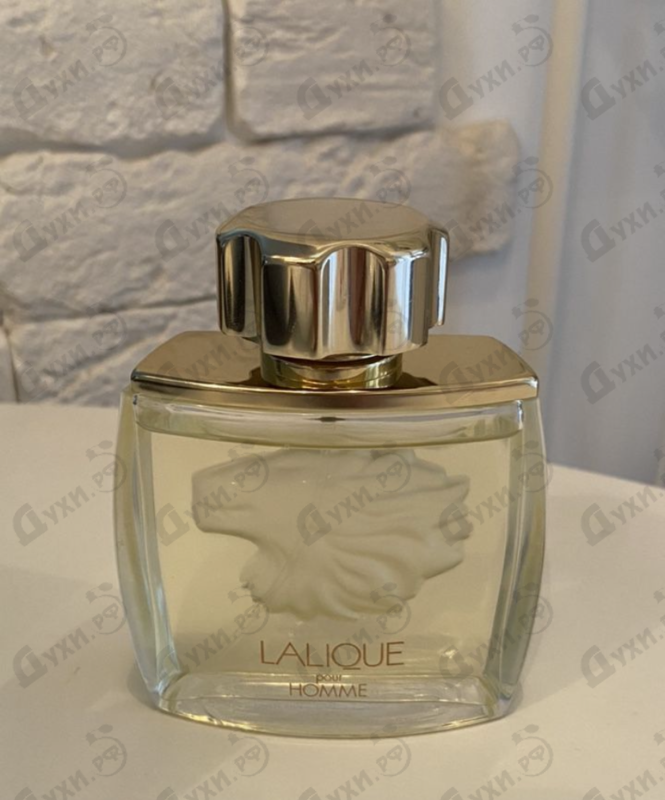 Отзыв Lalique Lion