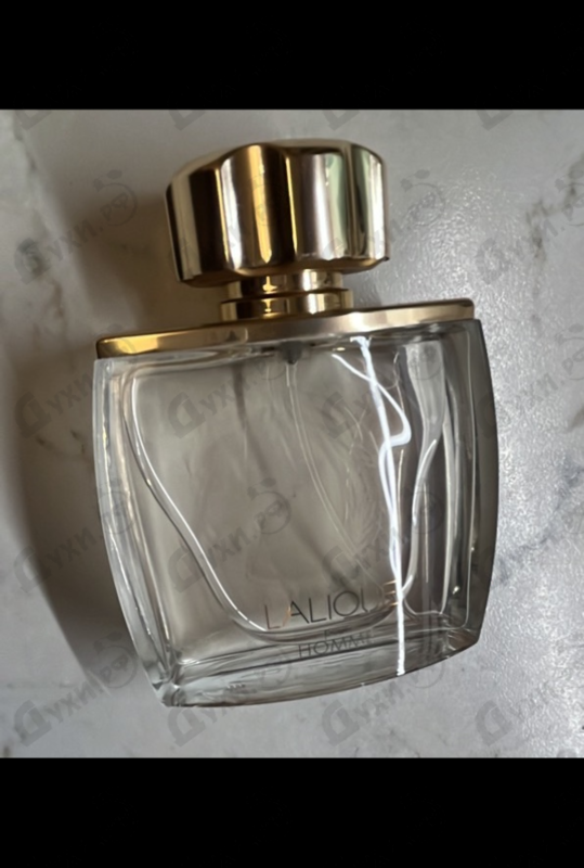 Купить Pour Homme Equus от Lalique