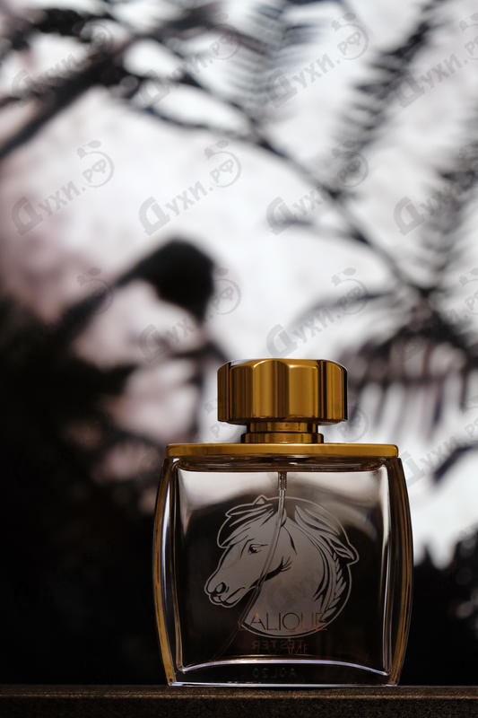 Купить Pour Homme Equus от Lalique