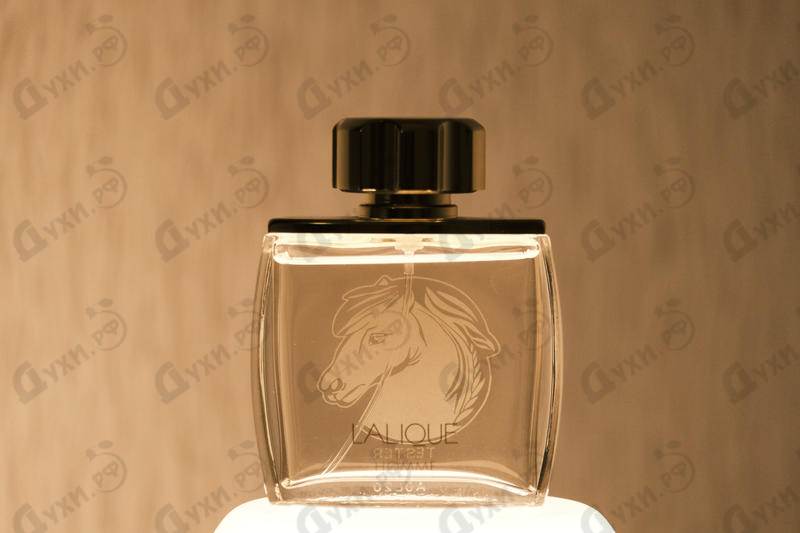 Духи Pour Homme Equus от Lalique