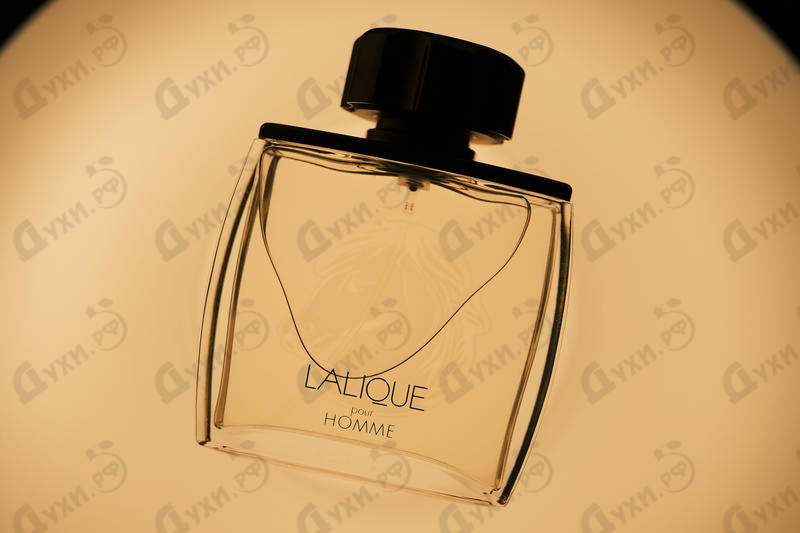 Купить Pour Homme Equus от Lalique