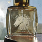 Отзыв Lalique Pour Homme Equus