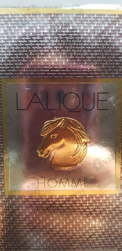 Купить Pour Homme Equus от Lalique