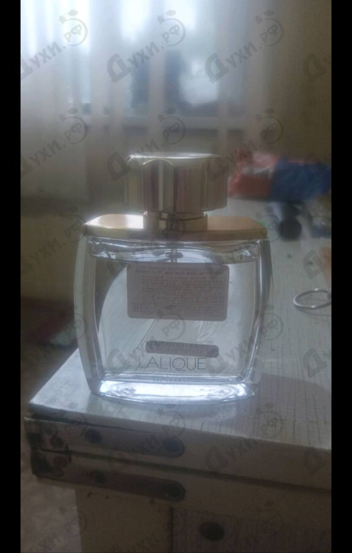 Купить Pour Homme Equus от Lalique