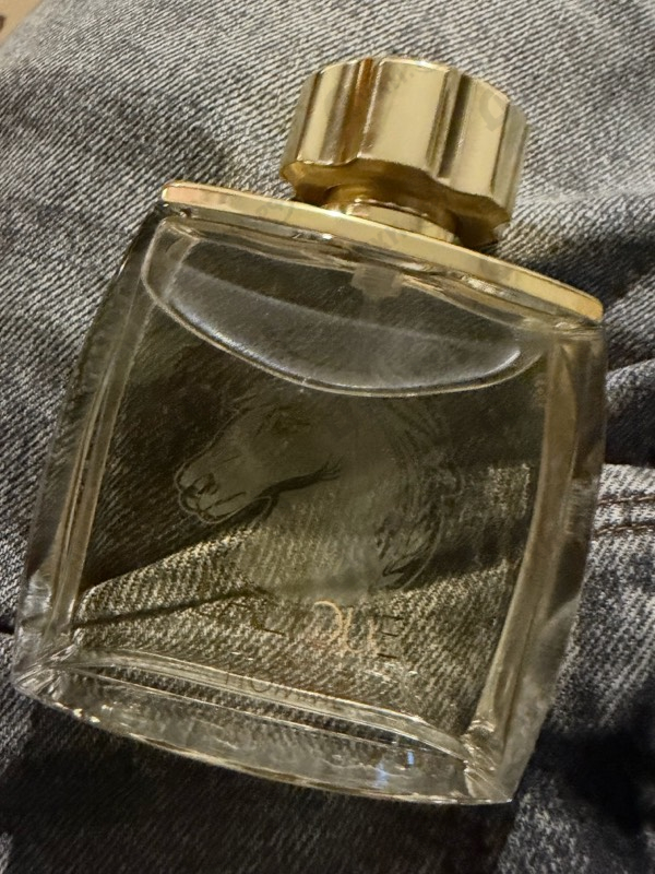 Парфюмерия Lalique Pour Homme Equus