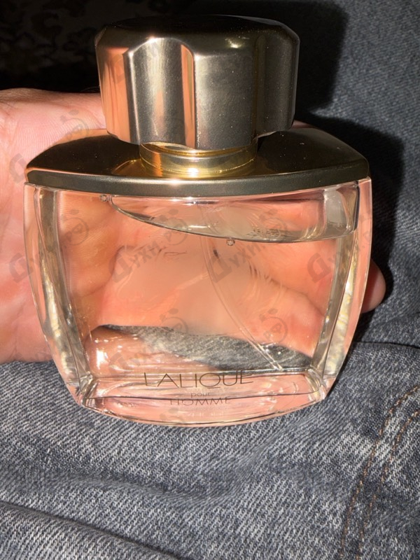 Парфюмерия Pour Homme Equus от Lalique