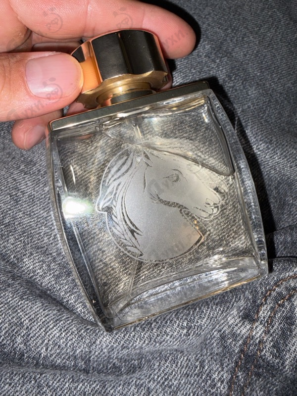 Духи Pour Homme Equus от Lalique