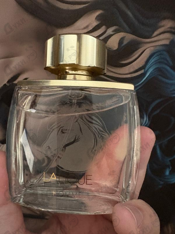 Купить Pour Homme Equus от Lalique
