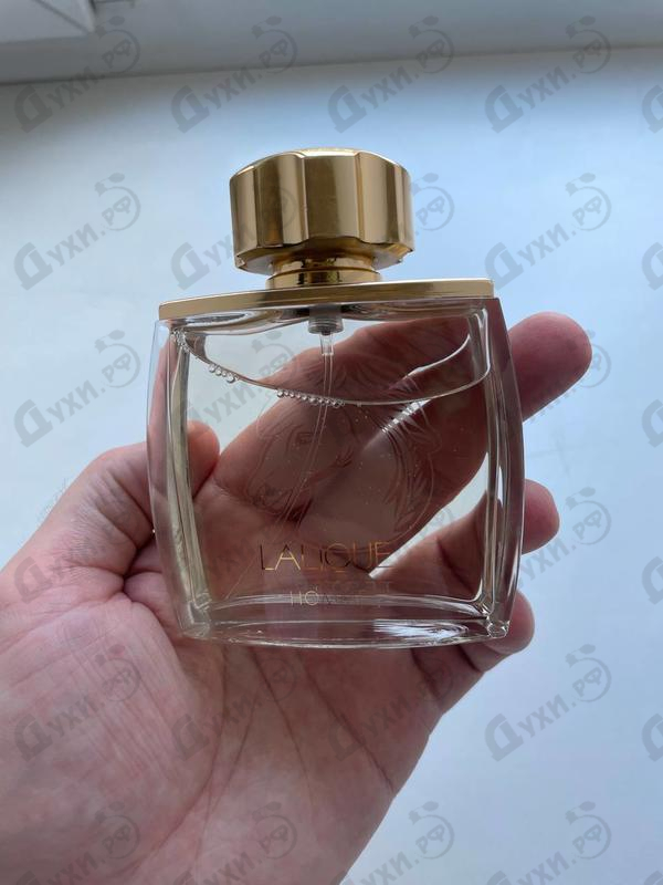 Отзыв Lalique Pour Homme Equus
